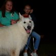 Sommertreffen 2019 - 256